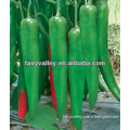 Beautiful Summer-Green Or Red Long Sharp Chili Pepper Seeds Long Harvest Time